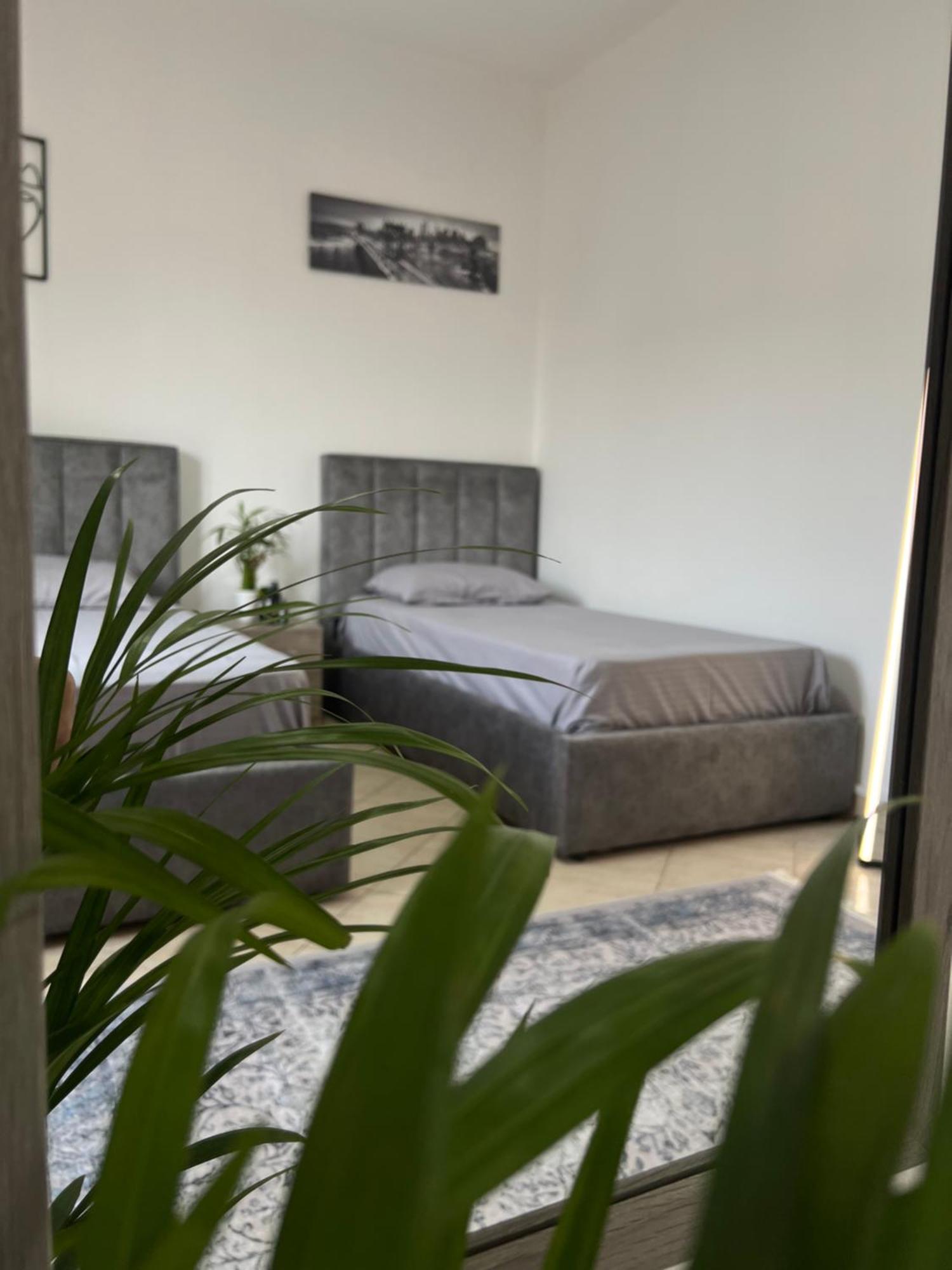 Hostel By Fenix Tiran Dış mekan fotoğraf