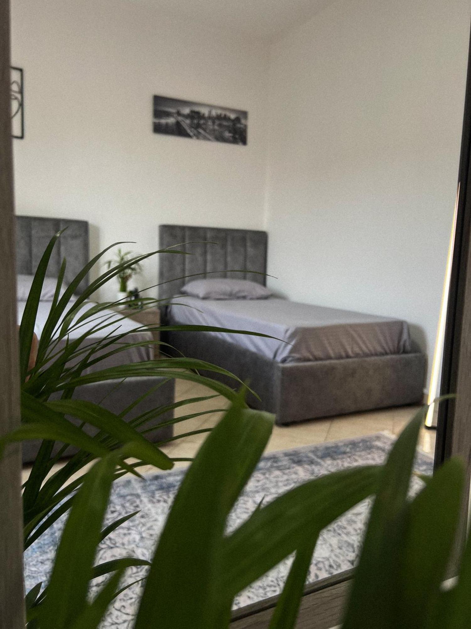 Hostel By Fenix Tiran Dış mekan fotoğraf